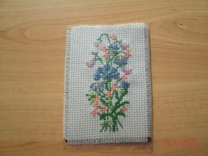 005-copie-1.JPG