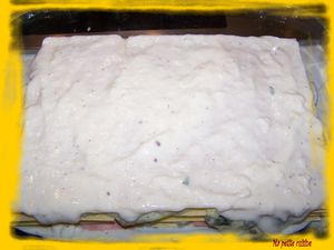 lasagnes jambon courgette (1)