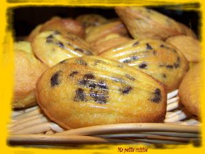 madeleines aux pepites de choclat 3