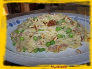 pastasotto 4