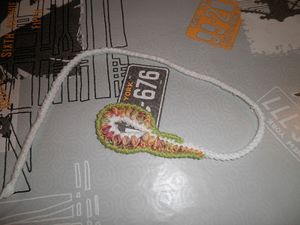 PB020003-1