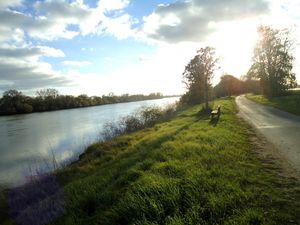 10k Belevue-Mauves sur loire (22)