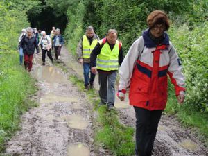 ballades annuelle rando (13)