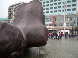 IMGP1847