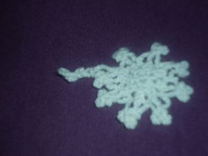 P1020035-copie-1.JPG