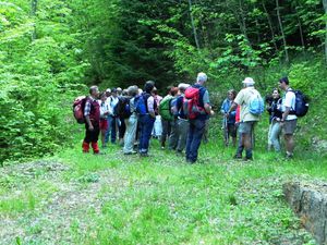 Dans la verdure Les Culées Le Suit 010