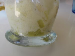 2-IMG_3501.JPG