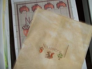 needle roll novembre