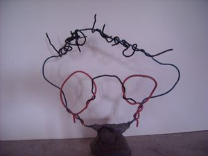 DSCN0323