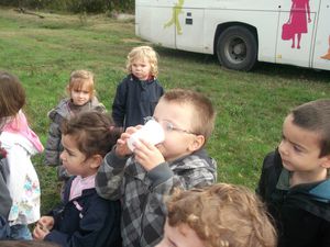 jus de pomme enzo