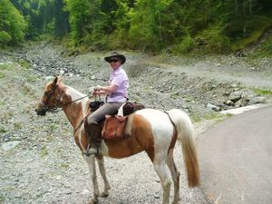 29 cowgirl