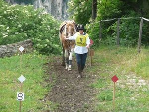plan descendant glissant