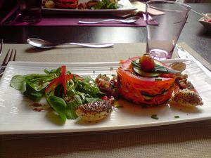 REPAS BENEVOLE JUILLET 2011 4