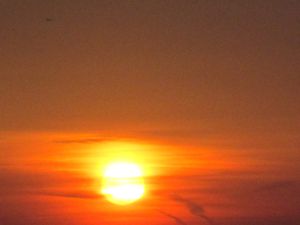 images-2013 1362