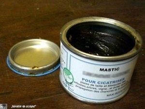 Elagage-mastic cicatrisant-01