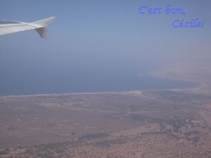 DSCN0732.JPG