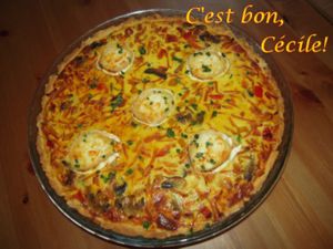 DSCN6978
