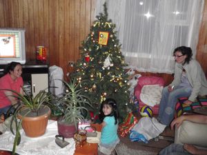 Puerto Natales (3)