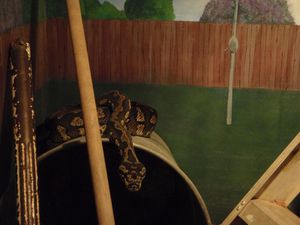 PYTHON CARPET