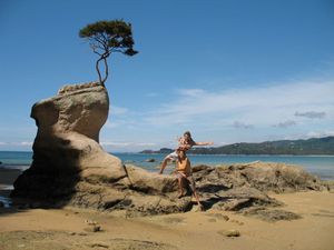 PLAGE ARBRE