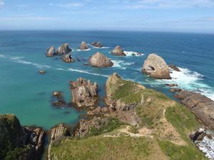 NUGGET POINT