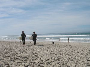 SURFEUR
