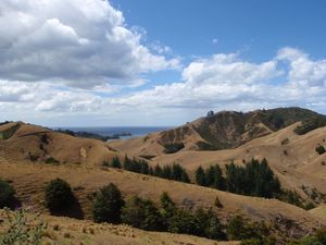 North Land (37)