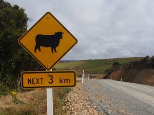 BEHHHHH