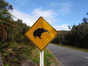 KIWI