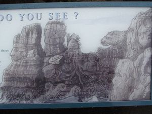 Pancake rocks and blowholes (16)