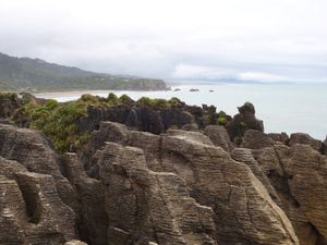 Pancake rocks and blowholes (9)