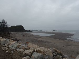 Woodpicker bay (1)