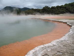 LAC