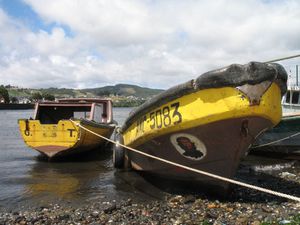 ANCUD