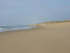 cap-ferret.jpg