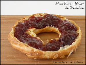 Paris - Brest 2