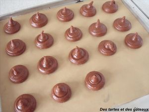 biscuits choc 5 GF