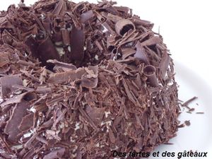 a forêt noire 8 GF