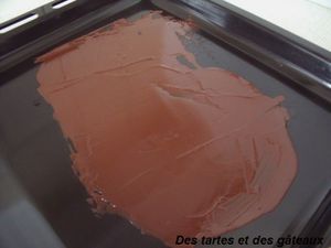 tarte choco-noix 10 GF