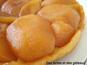 tatin 6 GF