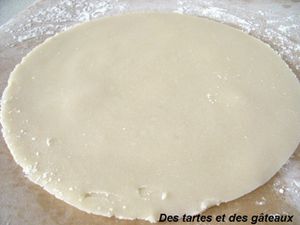 Tarte choc - framboises 5 GF