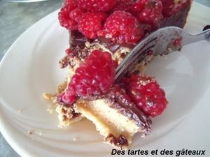 tarte biscuit framb 6 GF