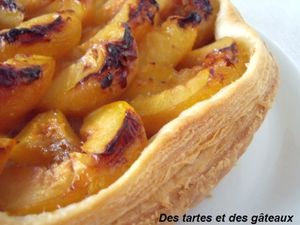 tarte prunes feuill 3 GF