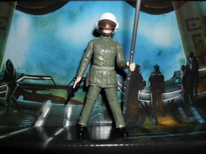 rebel honor guard