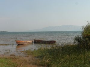 SAM_0542.JPG
