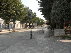SAM_0592.JPG