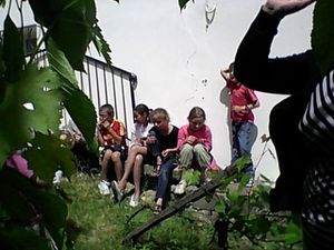 SP_A0038.jpg