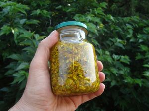 millepertuis dans huile 1024