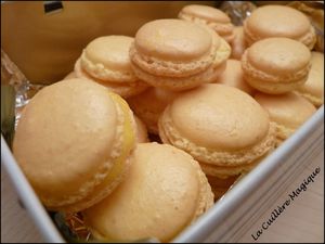 Macarons 01/2011