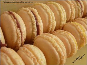 Macarons 01/2011